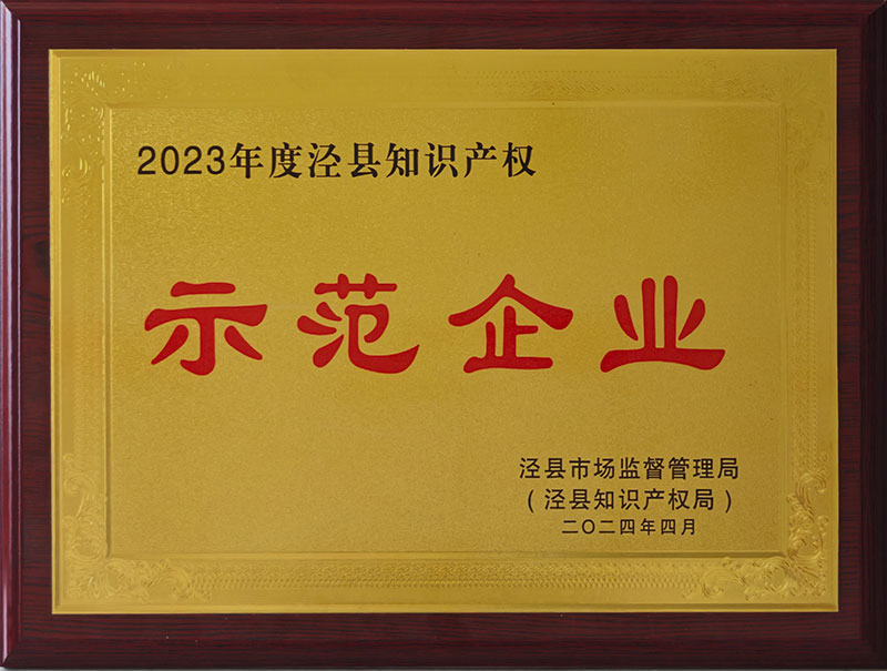 2023年度涇縣知識產權示范企業