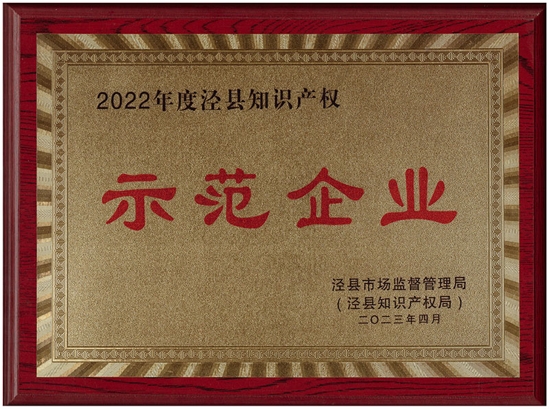 2023年涇縣知識產權示范企業